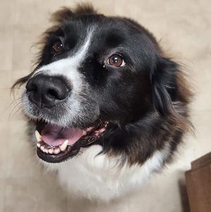 Meet your Posher, Candi